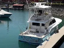 Seacario Fishing Charters
