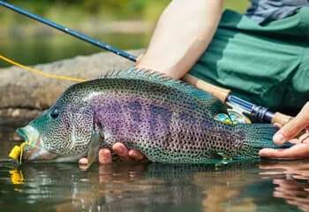 https://www.fishingcostaricaexperts.com/img/Arenal-Lake-Fishing-Costa-Rica.webp