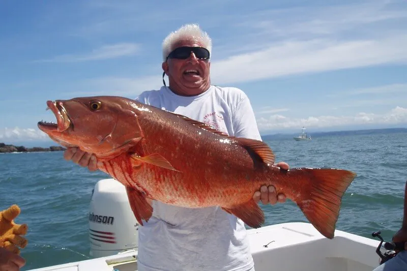 Big Cubera Snapper - Picture of Fishing Costa Rica with Big Eye Charters,  Quepos - Tripadvisor