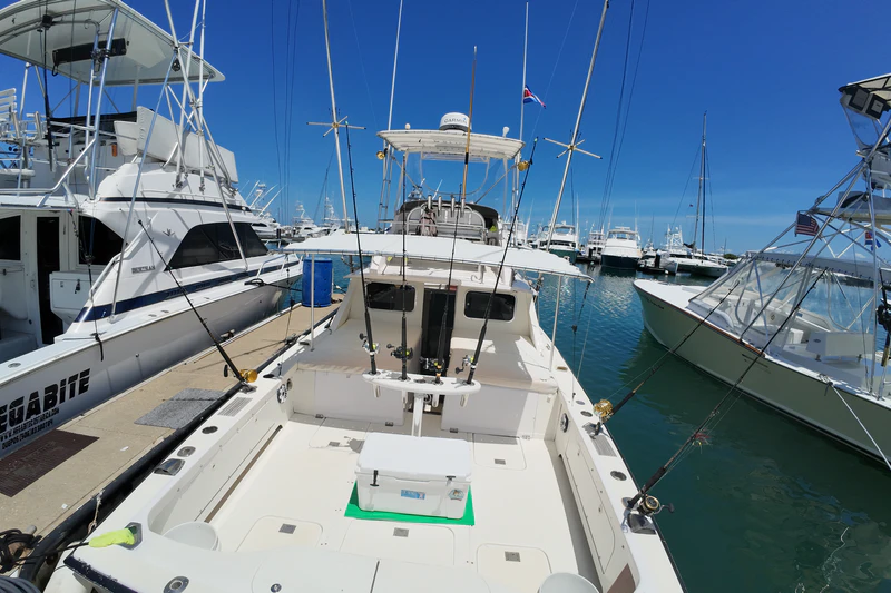 Monkey-Sea Fishing Charters Monkey-Sea Fishing Charters