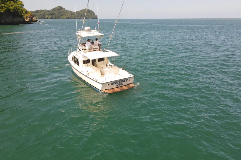 Monkey-Sea Fishing Marina Pez Vela Monkey-Sea Fishing Marina Pez Vela