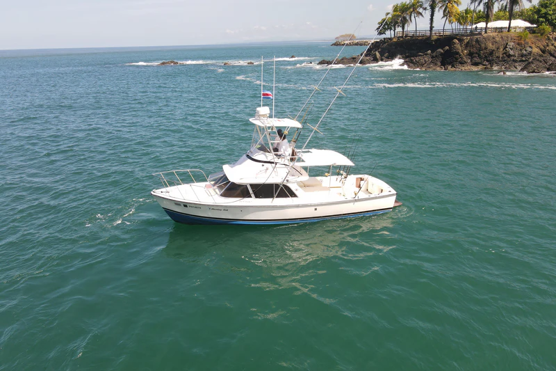 Monkey-Sea Tuna Fishing Monkey-Sea Tuna Fishing