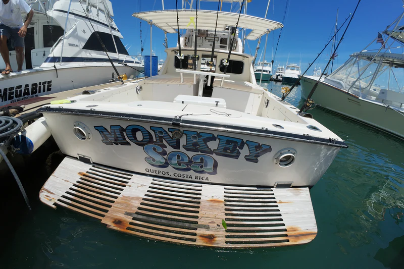 Monkey-Sea Sportfishing Quepos Monkey-Sea Sportfishing Quepos