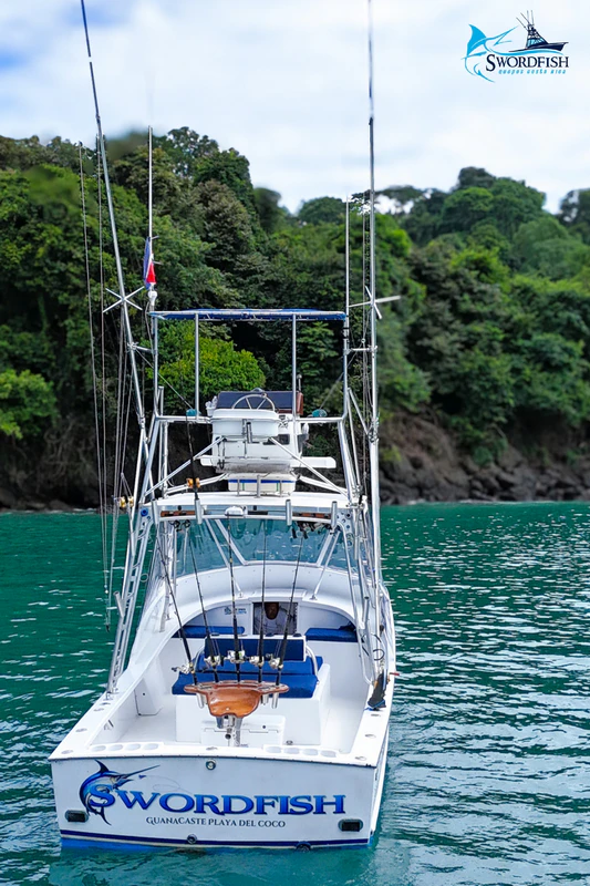 Swordfish Fishing Marina Pez Vela