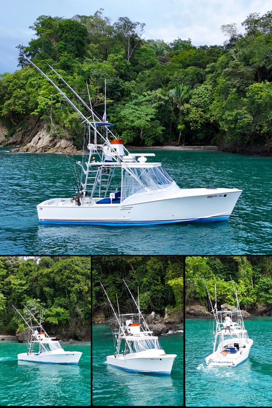 Swordfish Tuna Fishing