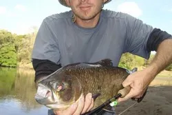 Mangrove Fishing Guanacaste