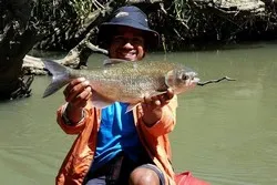 Mangrove Fishing Guanacaste