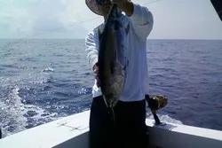 Nazaria I Sportfishing Costa Rica