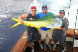 Open Fly Offshore Fishing