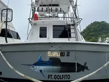 Sueltalo Fishing Charters