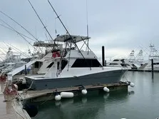 Sueltalo Fishing Los Suenos