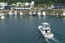 Caribsea Fishing Marina Pez Vela