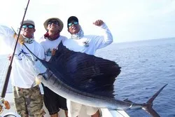 Moonwalker Sailfish Fishing