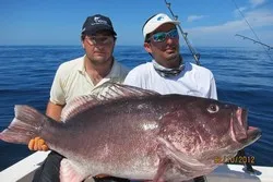 Sea Hawk Inshore Fishing