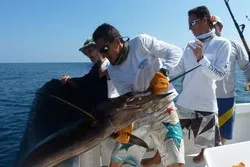 Sportfishing Moonwalker Quepos