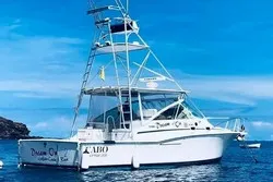 Dream On Sportfishing Coco Beach