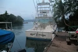 Real Escape Marlin Fishing