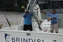 Brindisi Boat Tamarindo